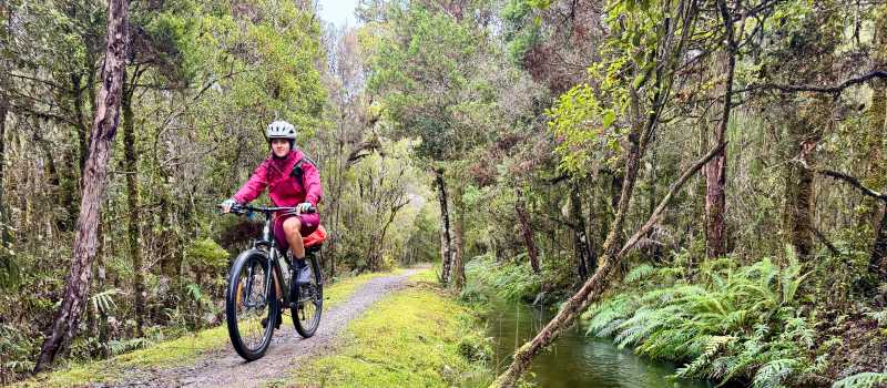 Enjoying the West Coast Wilderness Trail |  Tracey Croke