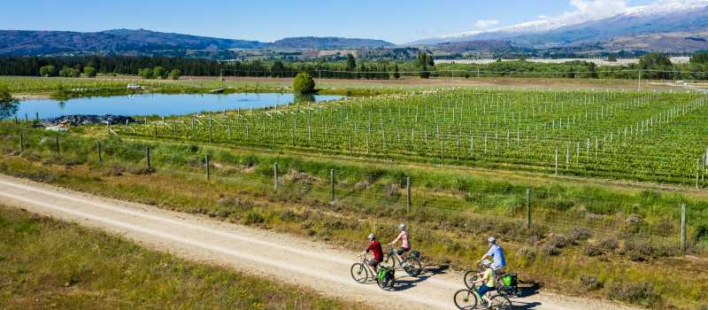 Otago Central Rail Trail - Muttontown |  Lachlan Gardiner
