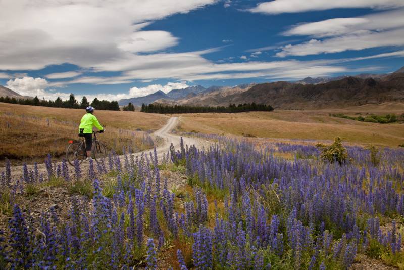 Pausing to take in the scenery on the Molesworth High Country cycle | <i>Colin Monteath</i>